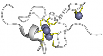 metallothionein