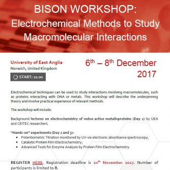 Electrochemical Methods to Study Macromolecular Interactions