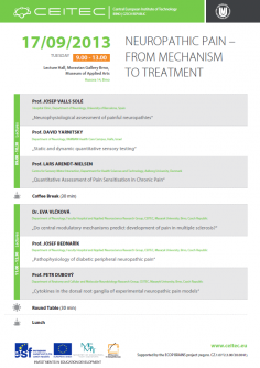 Workshop: Neuropathic Pain - From Mechanism to Treatment