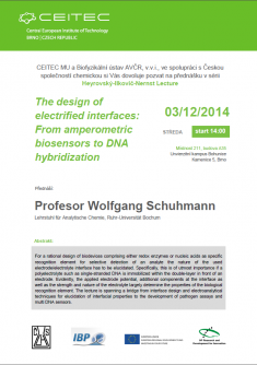 Lecture: The design of electrified interfaces: From amperometric biosensors to DNA hybridization