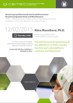 Lecture: Prenatal immune programming of sex differences in stress circuitry function and vulnerability to psychosis and depression