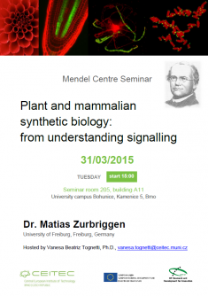 Mendel Centre Seminar - Plant and mammalian synthetic biology: from understanding signalling