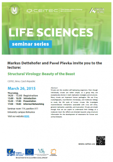 Life Sciences Seminar Series: Structural Virology: Beauty of the Beast