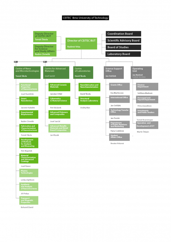 Organization Chart