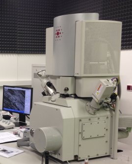 SEM/FIB microscope FEI Versa3D equipped with a Quorum cryo stage and transfer station