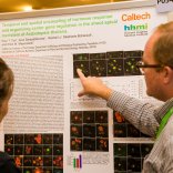 EMBO_Poster Session