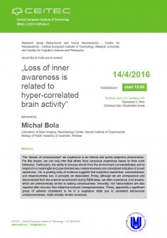 Loss of inner awareness is related to hyper-correlated brain activity