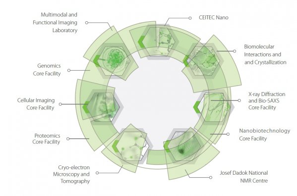 core facility schema 2016_eng